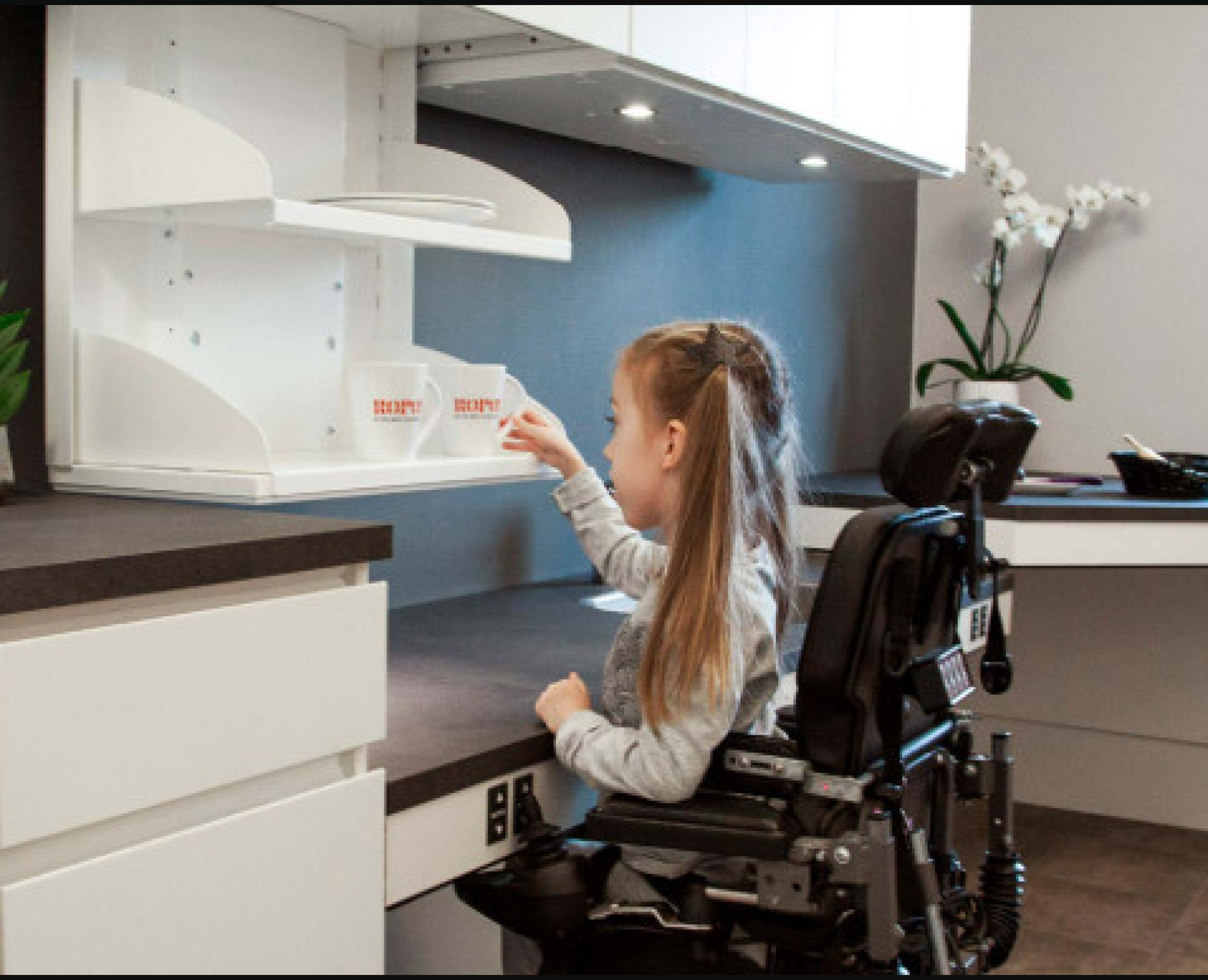 69981149d862a_Captura de pantalla 2026-02-20 084550.png